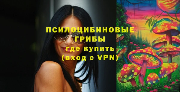 меф Инсар