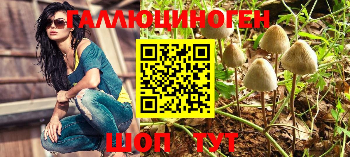 Псилоцибиновые грибы Cubensis  Вход с VPN  Ногинск 
