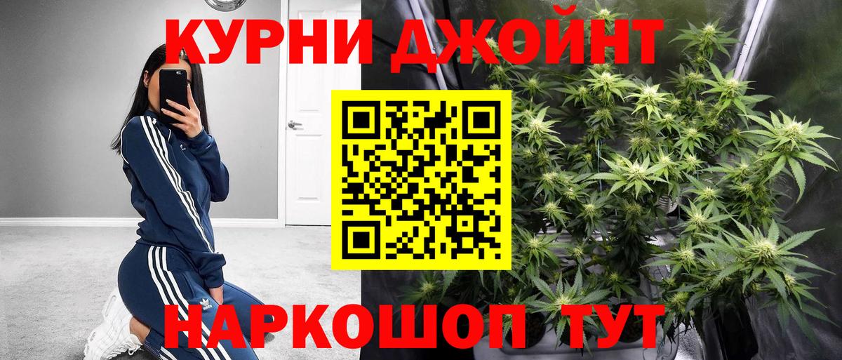 Конопля семена  Шишки марихуана Amnesia  Ногинск  Вход с VPN  Бошки марихуана план 